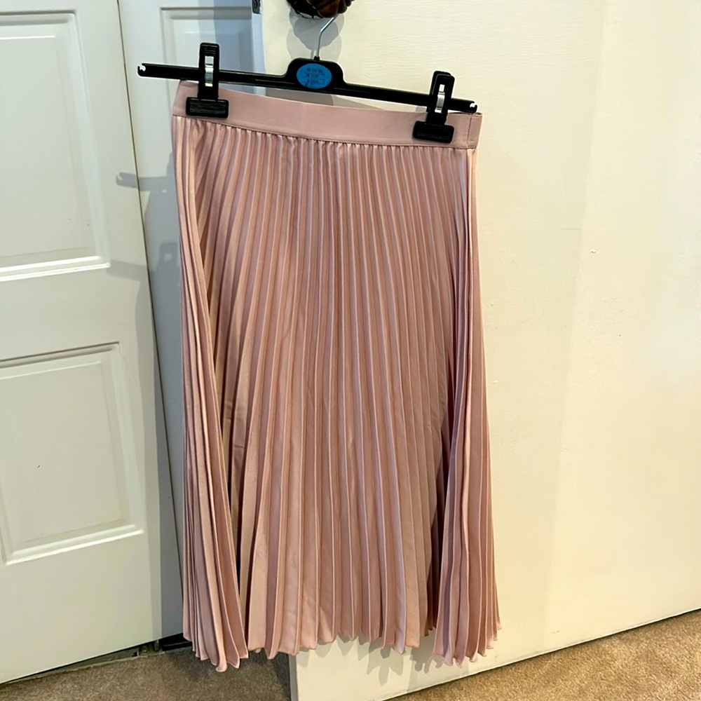 H&M Pink Pleated Midi/Maxi Skirt